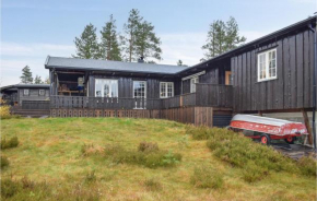 Cozy Home In Fyresdal With House A Mountain View